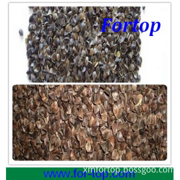 Raw or Roasted Buckwheat Hulls/Husks